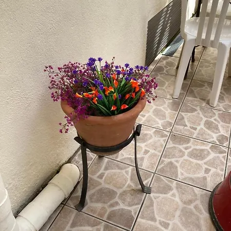 Poppys D'hotes 3* Ceret