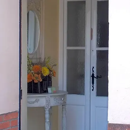 Poppys D'hotes Ceret